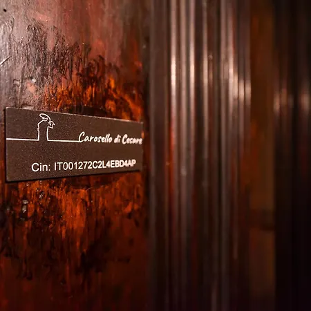 Carosello Di Cesare Apartment Turin